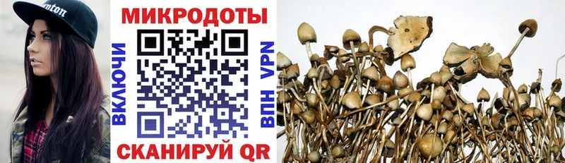 Псилоцибиновые грибы Magic Shrooms  купить наркотик  Муравленко 