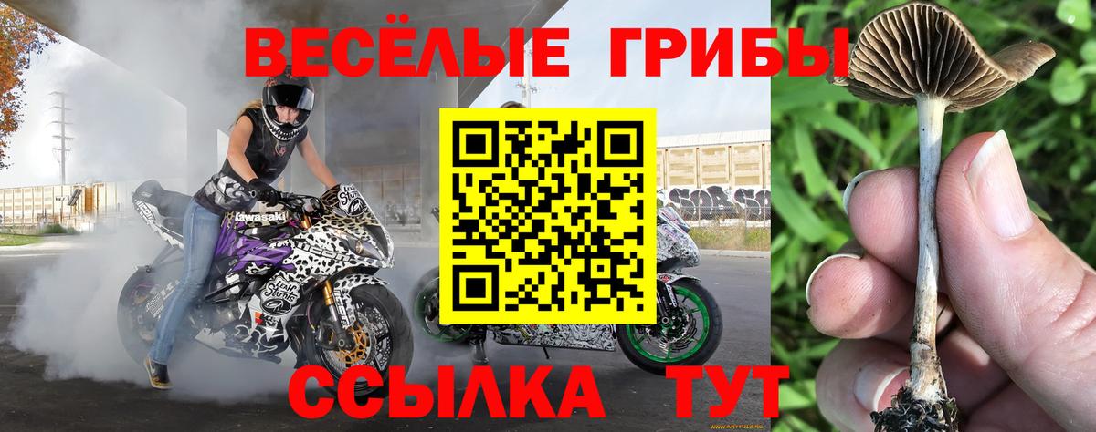Галлюциногенные грибы GOLDEN TEACHER Муравленко